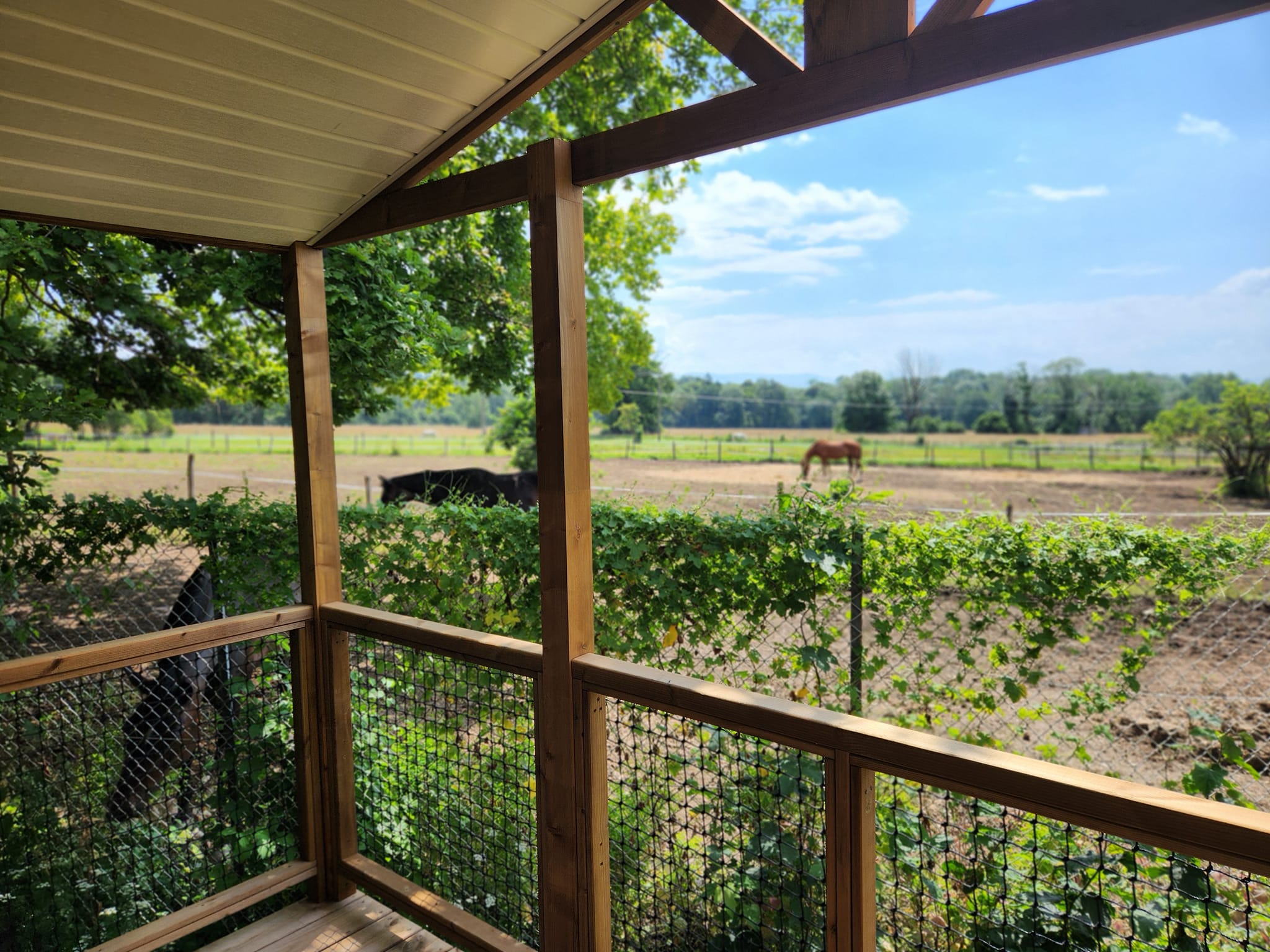 474456902_122211500846195501_3653097749109508907_n